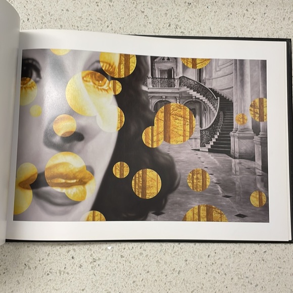 Emmanuel Perrotin's STAGES Art Gallery & Display Photo Book - Picture 5 of 6